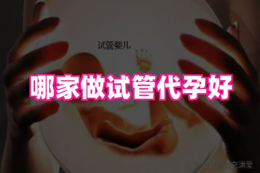 成都助孕网站 2