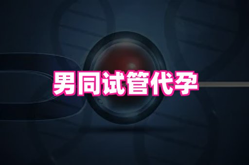 成都助孕网站 3