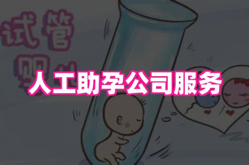 成都助孕网站 4